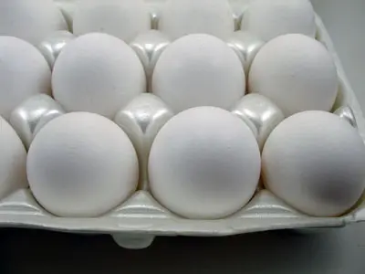 Egg